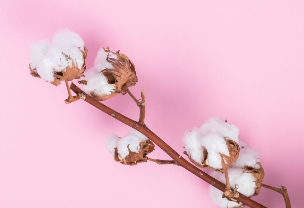 AdobeStock_210198551-1
