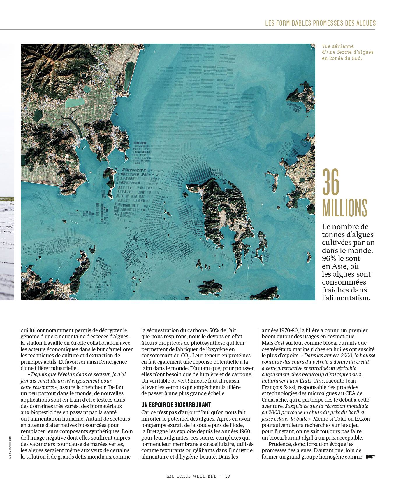 Algues_page-0003