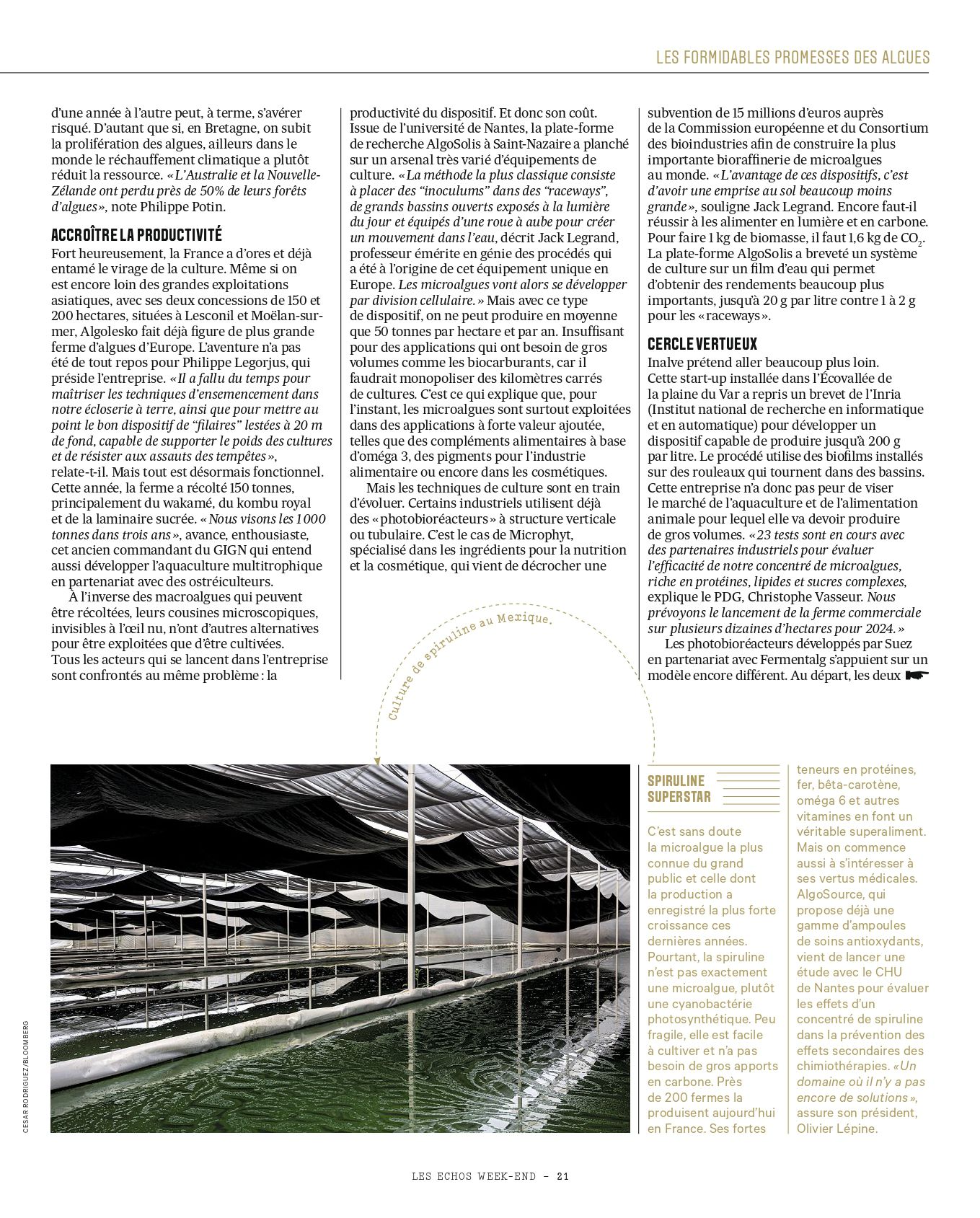 Algues_page-0005