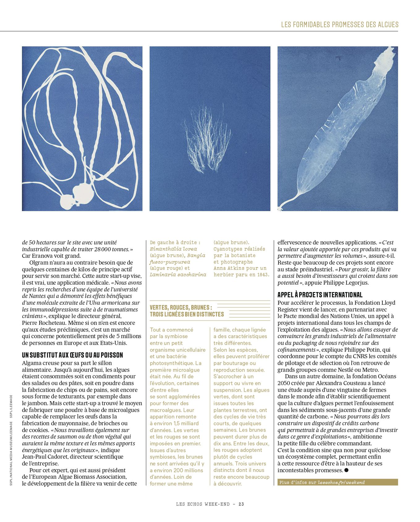 Algues_page-0007